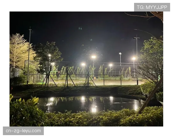 球场周边夜间交通救援通道划定与管理办法，球场夜景