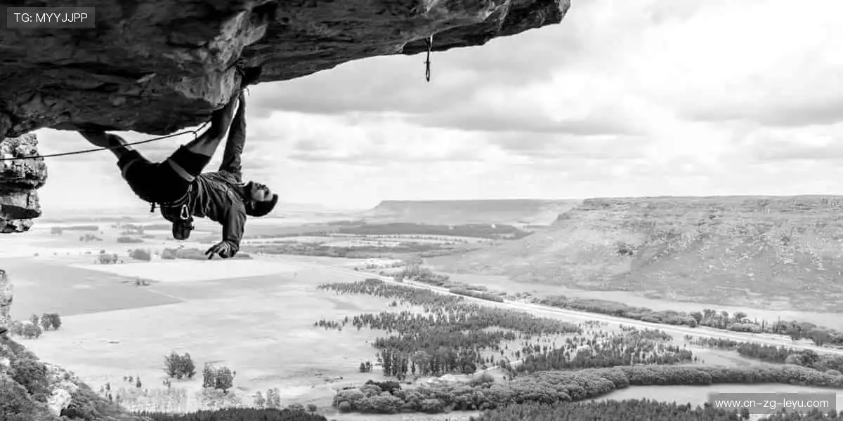 限量款来袭，手慢无！🚨🎯